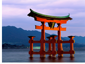 Japan Gay Tour - Miyajima