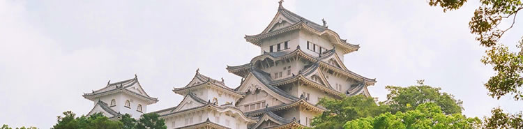 Yellow Brick Road Tours - Japan Gay Tour