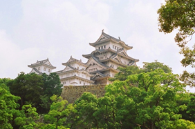 Yellow Brick Road Tours - Exclusively Gay Japan Adventure Tour