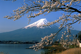 Yellow Brick Road Tours - Exclusively Gay Japan Adventure Tour
