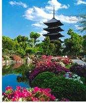 Japan Gay Tour