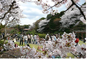 Japan Gay Tour from Tokyo