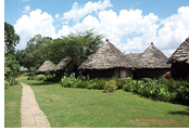 Arusha, Tanzania Gay Tour