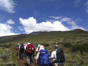 Yellow Brick Road Tours - Exclusively Gay Kilimanjaro Climbing