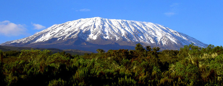 Yellow Brick Road Tours - Kilimanjaro Tanzania Gay Tour