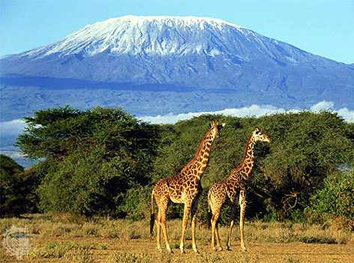 Kilimanjaro Gay Tour