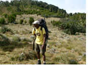 Kilimanjaro gay trek