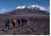Kilimanjaro Gay Treking Tour