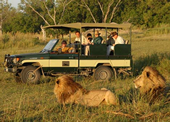 Tanzania Gay Safari