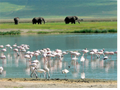 Ngorongoro Crater, Tanzania Gay Tour