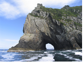 New Zealand Gay Tour - Hole in the Rock