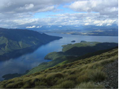 New Zealand gay tour - Lake Te Anau