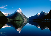 New Zealand Gay Tour