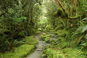 Exclusively Gay Tour to New Zealand