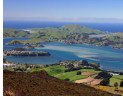 New Zealand Gay Tour - Dunedin
