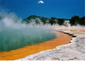 New Zealand Gay Tour - Rotorua