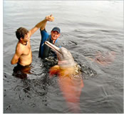 Amazon Jungle gay tour