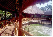 Amazon Jungle Gay Tour