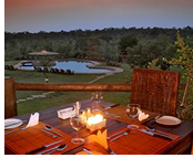 Kruger Park Gay Safari Tour