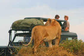 Yellow Brick Road Tours - Exclusively Gay South Africa Safari Tour
