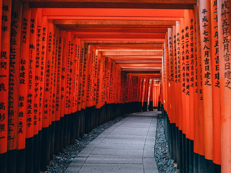 Zoom Japan Luxury Gay Tour