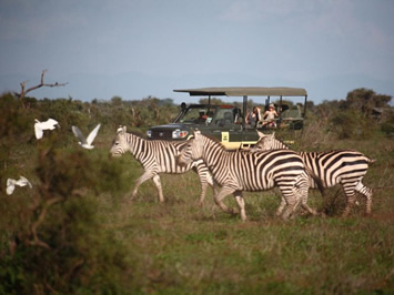Amboseli Kenya gay safari