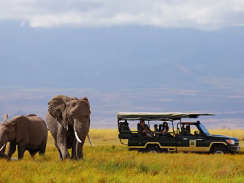 Amboseli National Park gay safari