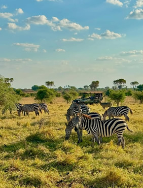 Kenya gay safari