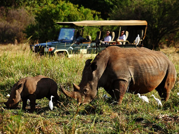 Meru National Park gay safari