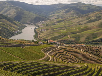 Douro Valley gay tour