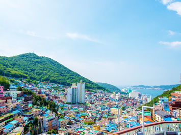 Busan, South Korea gay tour
