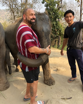 Thailand gay tour Chiang Mai elephants