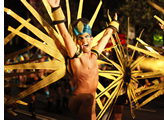Australia gay tour - Sydney Mardi Gras Parade
