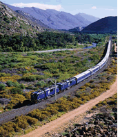 Blue Train South Africa Gay Tour 