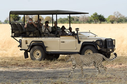 Botswana Adventure gay tour