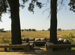 Botswana Adventure gay tour Vumbura Plains Camp