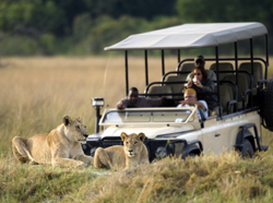 Botswana Adventure gay tour