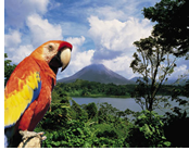 Costa Rica gay tour