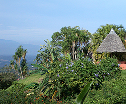 Exclusively gay Costa Rica tour
