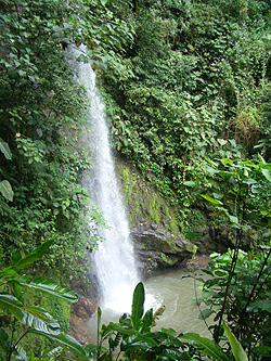 Zoom Vacations Costa Rica gay tour