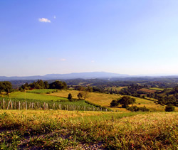 Danube river cruise countryside