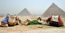 Egypt gay luxury tour