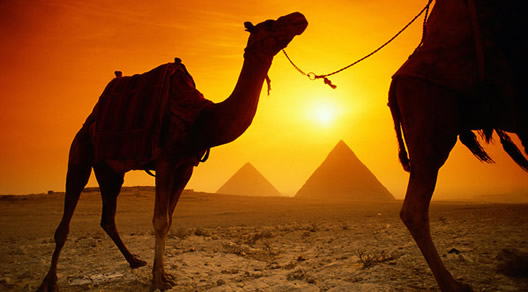 All Gay Egypt Tour and Nile Cruise 2022