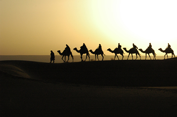 Egypt gay luxury tour