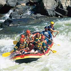 Zoom Vacations Cairns gay tour