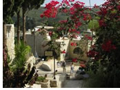 Israel gay tour - artists village