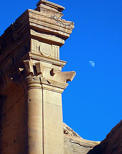 Zoom Vacations exclusively gay Petra tour