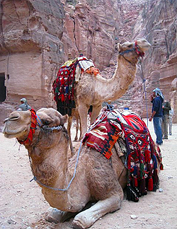 All Gay Jordan Gay tour