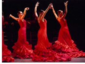 Madrid Gay Pride tour - Flamenco show