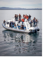 Grootbos Marine Safari Gay Tour 